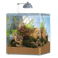Аквариум AQUASTYLE 35 л., 31х31х36 см.