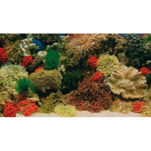 Фон для аквариума "TRIXIE", двусторонний 49см*15м