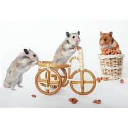 Игрушки