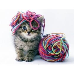 Игрушки для кошек