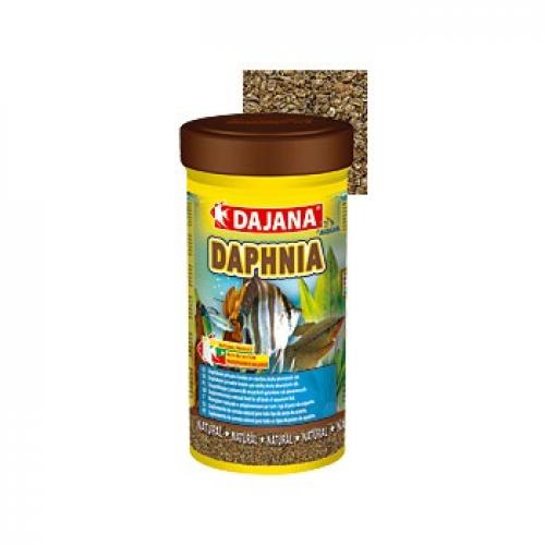 Daphnia 10 000 ml