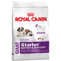 Royal Canin Giant Starter, питание для беременных и кормящих сук, а также для щенков до 2 месяцев - 4 кг.