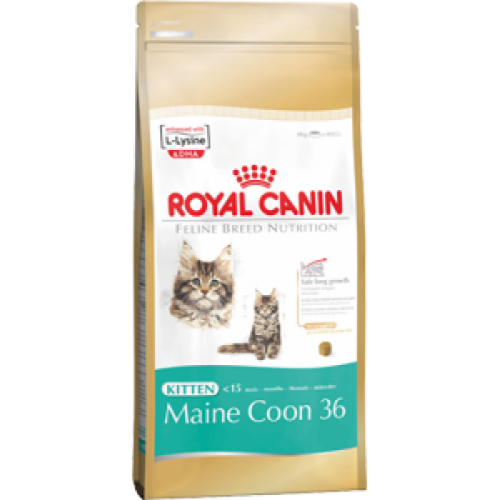 Royal Canin Kitten Maine Coon 36, для котят породы Мейн кун от 3 до 15 месяцев - 4 кг.