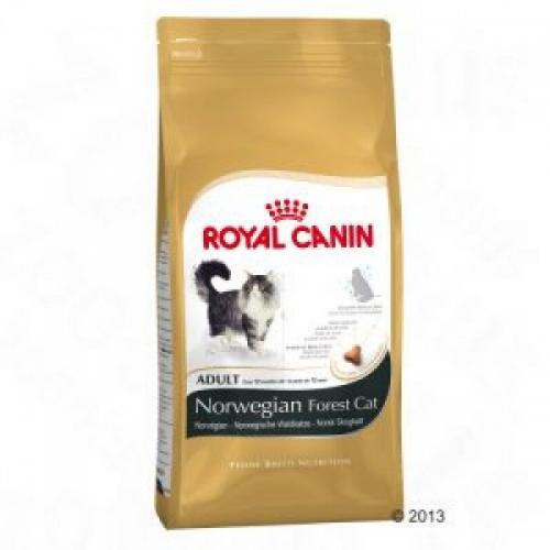 Royal Canin Norwegian Forest Cat, для кошек породы Норвежская Лесная в возрасте от 1-12лет - 0,4 кг.