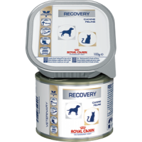 Royal Canin Recovery, диета для собак и кошек в период анорексии, выздоровления