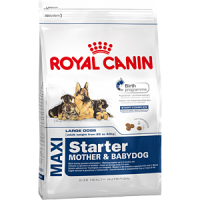 Royal Canin Maxi Starter, питание для беременных и кормящих сук, а также для щенков до 2 месяцев - 4 кг.