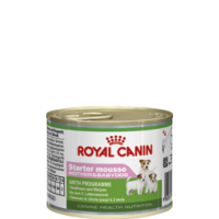 Royal Canin Starter Mousse, для щенков до 2-х месяцев - 195 гр.
