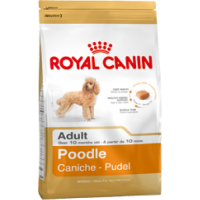 Royal Canin Poodle Adult, для пуделей с 10 мес. - 7,5 кг.