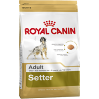 Royal Canin Setter Adult, для собак породы сеттер старше 12 месяцев - 12 кг.