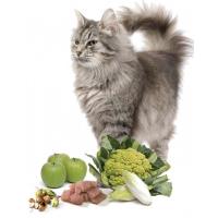 Trainer Natural KITTEN FRESH CHICKEN - консервы для котят со свежим мясом курицы