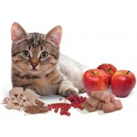 Trainer Power Top Breeder Adult Tuna (Тунец), Для взрослых кошек