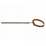 Ошейник с поводком капрон ( ш 14 мм, д 120 см) 