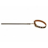 Ошейник с поводком капрон ( ш 14 мм, д 120 см) 