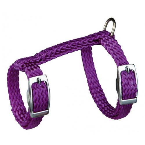 Набор "TRIXIE" (шлея 12-25 см/8мм+ поводок 1,25 м) для хорьков и крыс