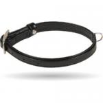 Ошейник "CoLLaR brilliance" без украшений для щенков и мелких пород собак(ш12мм, д 21-29см), синий