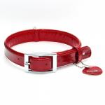 Ошейник "CoLLaR brilliance" без украшений для щенков и мелких пород собак(ш12мм, д 21-29см), синий
