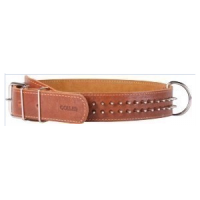 Ошейник двойной с шипами в два ряда (ш25мм, д38-50см)